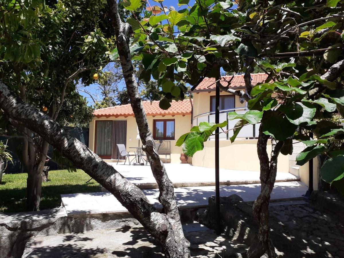 Apartamento Casa De Santa Luzia A Vila Praia de Âncora Exterior foto
